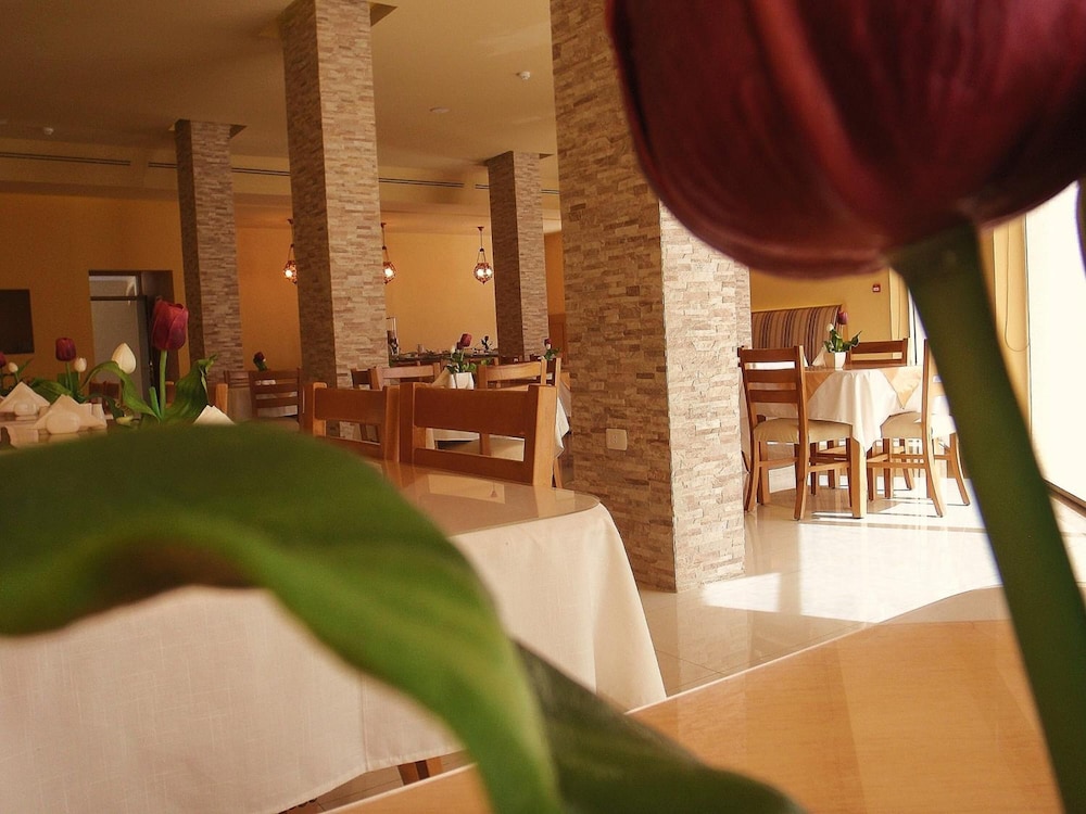 

Roma - Ma'in - Mosaic City Hotel