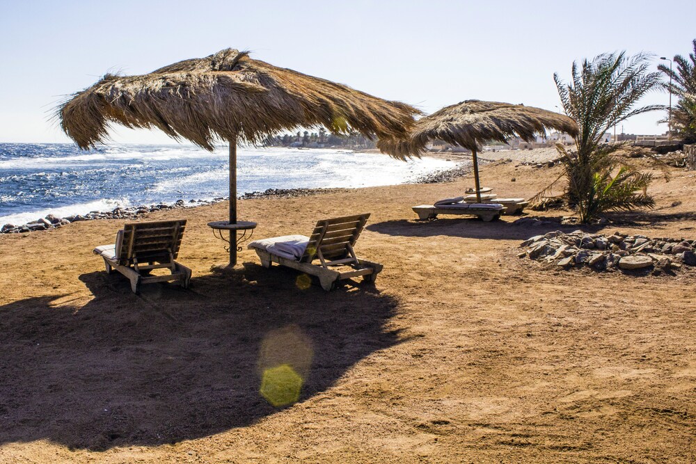 

Torino - Dahab - The Bedouin Moon