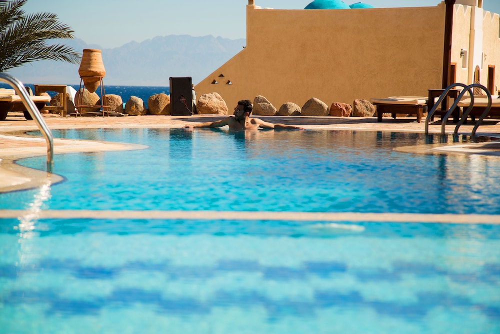

Bologna - Dahab - The Bedouin Moon