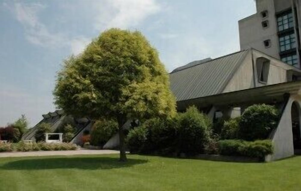 

Milano - Faenza - Hotel Cavallino