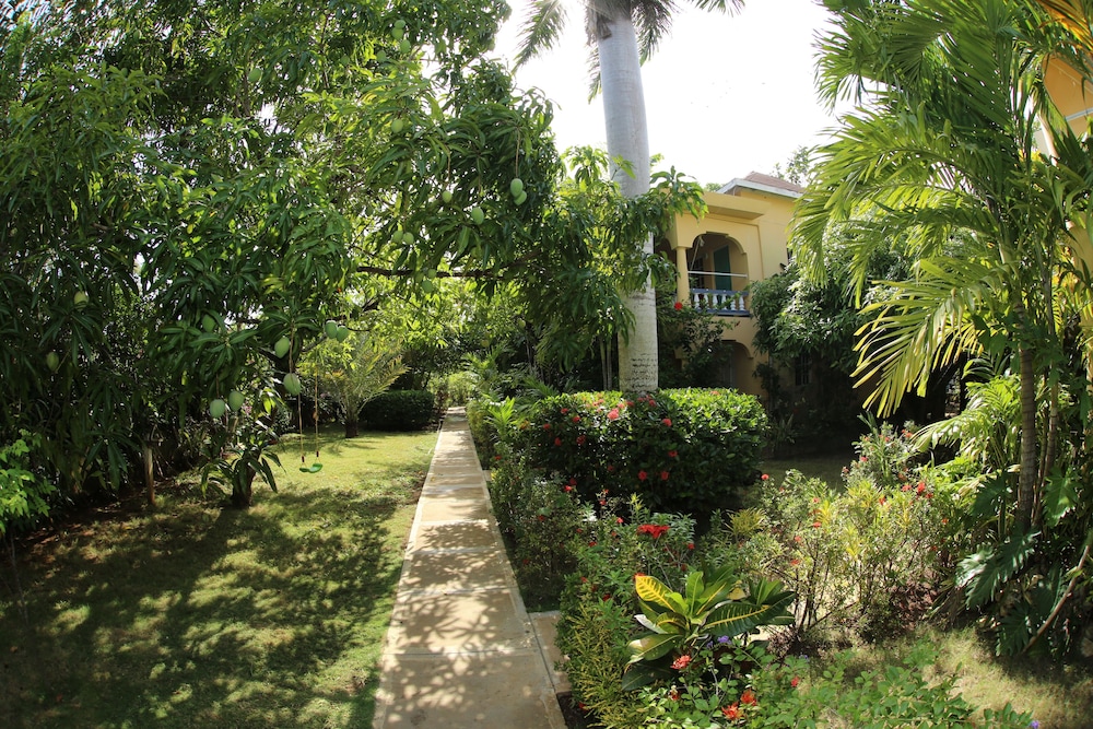

Bari - Negril - Seastar Inn