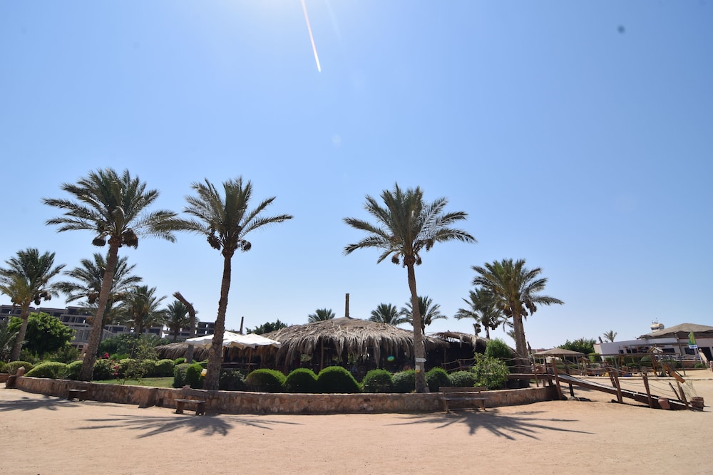 

Bologna - Soma Bay - Sharm El Naga Resort and Diving Center