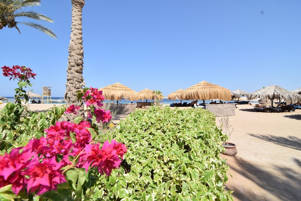 

Catania - Soma Bay - Sharm El Naga Resort and Diving Center