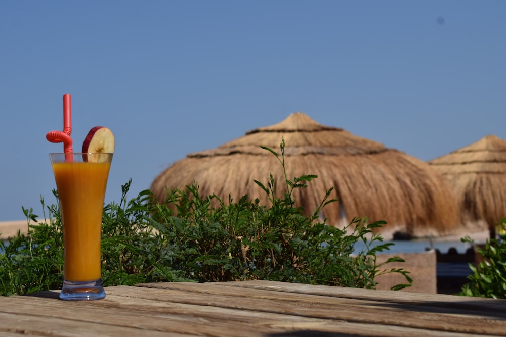 

Bologna - Soma Bay - Sharm El Naga Resort and Diving Center