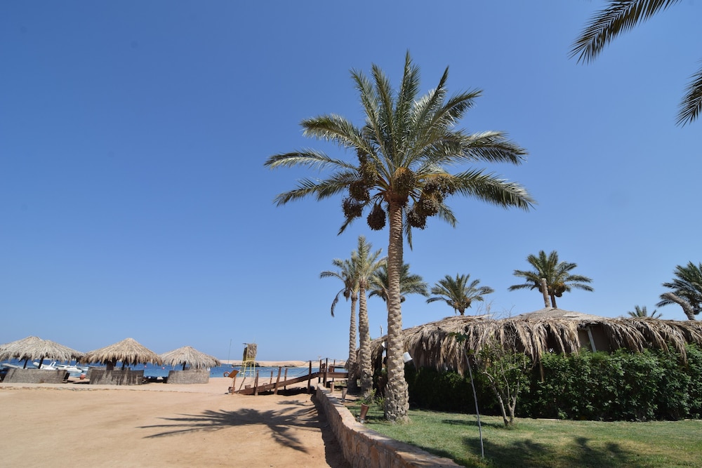 

Napoli - Soma Bay - Sharm El Naga Resort and Diving Center