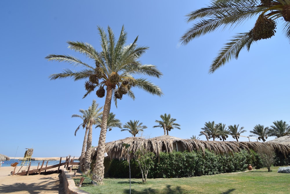 

Milano - Soma Bay - Sharm El Naga Resort and Diving Center