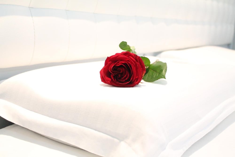 

Ancona - Tirana - Hotel Vila Verde City Center