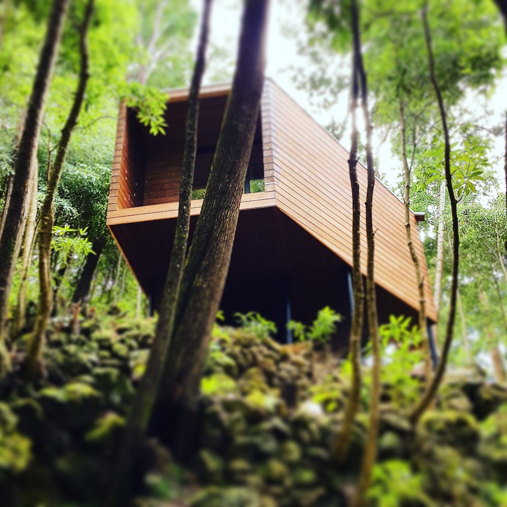 

Roma - Quatro Ribeiras - Caparica Azores Ecolodge