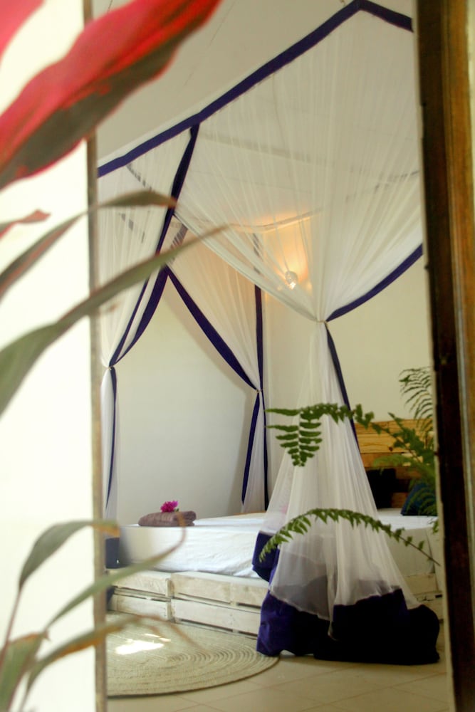 

Roma - Kilifi - Salty's Kitesurf Village