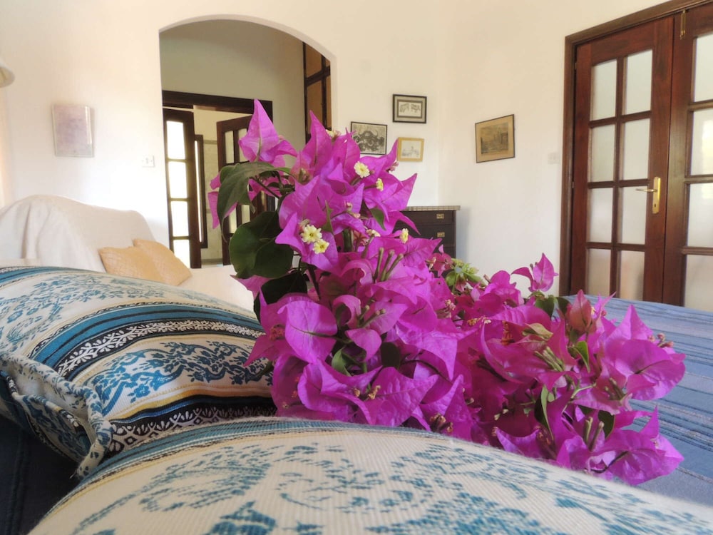 

Bologna - Marafiki - Woburn Residence Club