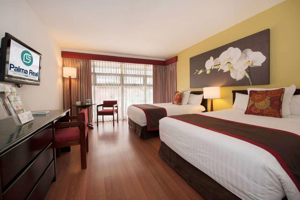 

Milano - San Jose - Hotel Palma Real
