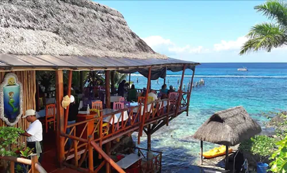 

Roma - Messico - Riviera Maya, Caraibi - Blue Angel Resort