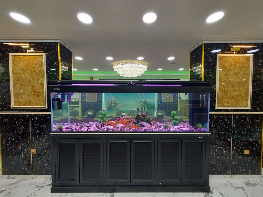 

Milano - Aqaba - Jordan Seasons Hotel