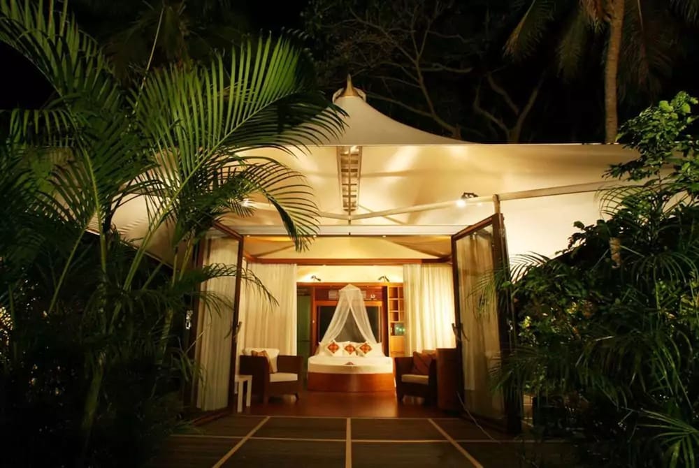 

Roma - Lautoka - The Fiji Orchid
