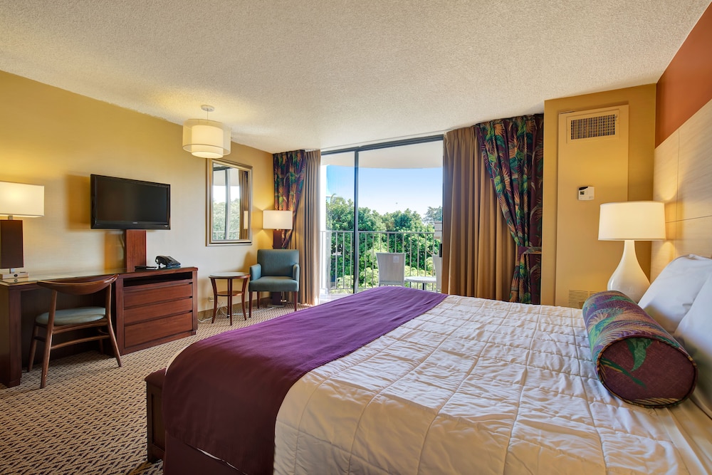 

Bologna - Hilo - Castle Hilo Hawaiian Hotel