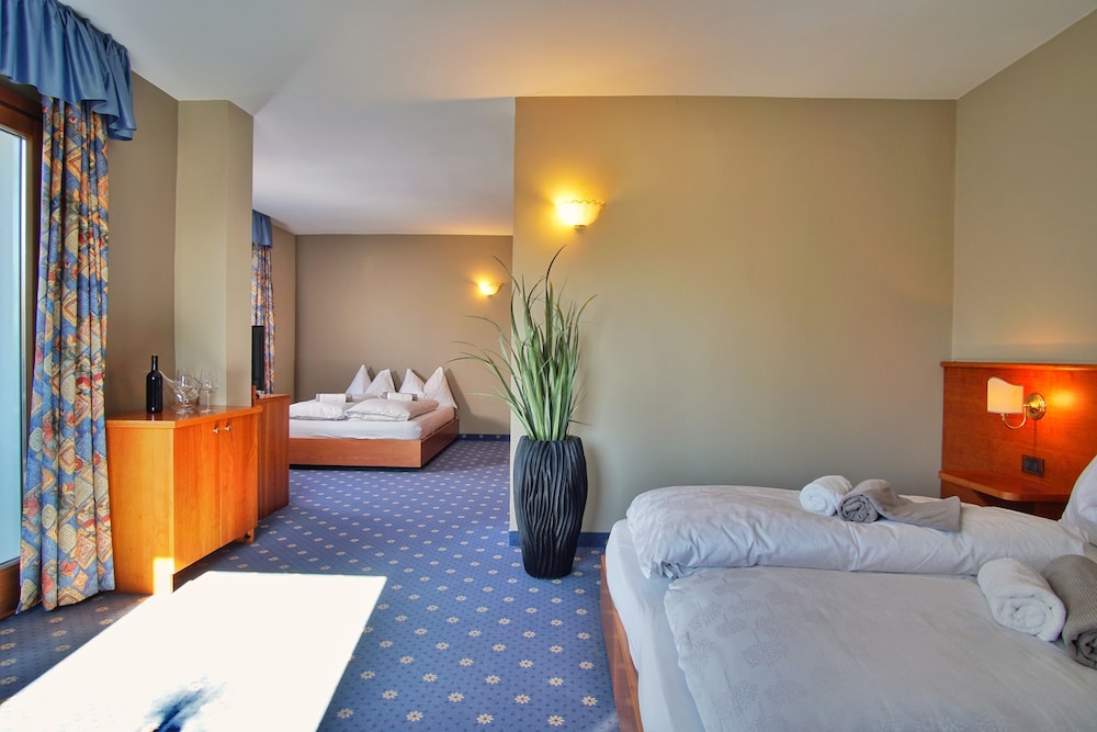 

Roma - Trentino, Italia - PanoramaHotel Penegal