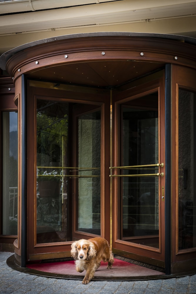 

Firenze - Grindelwald - Hotel Regina