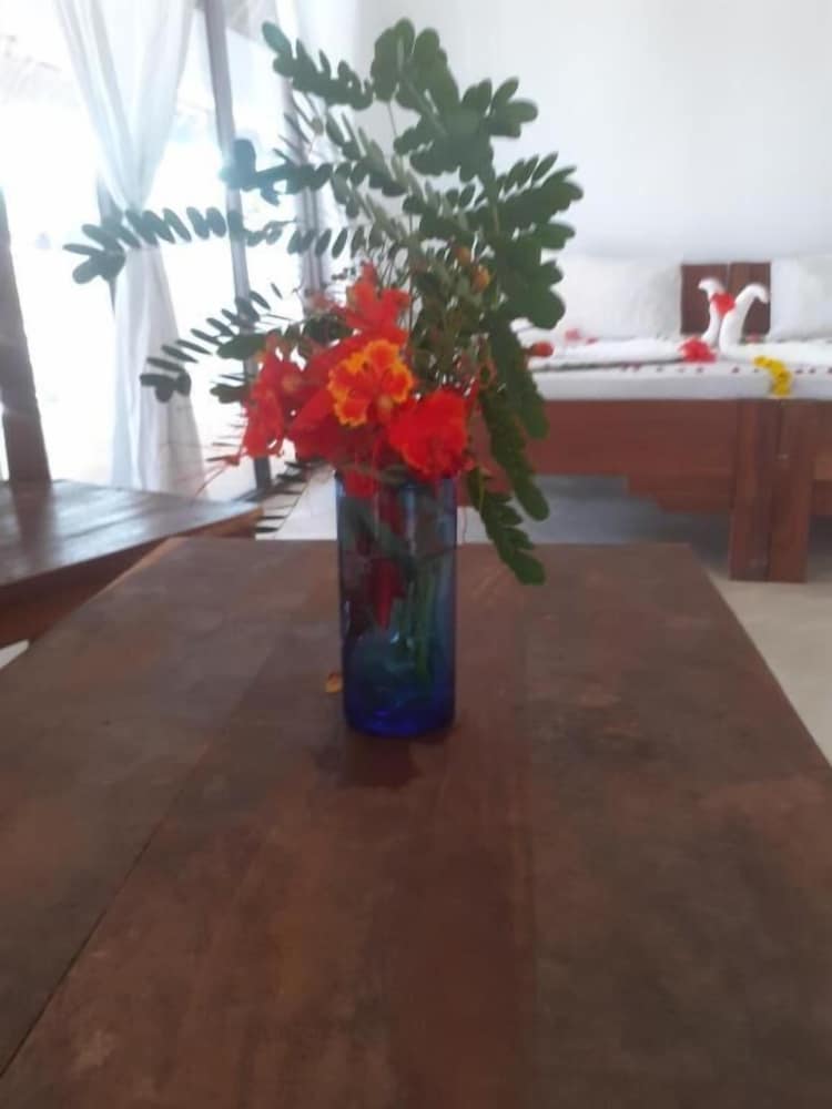 

Firenze - Kizimkazi - Maua beach lodge