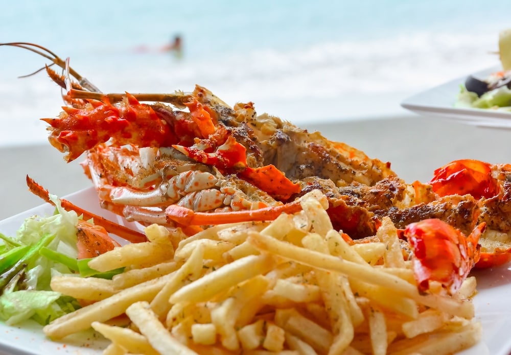 

Bologna - Ocho Rios - Sand And Tan Beach Hotel