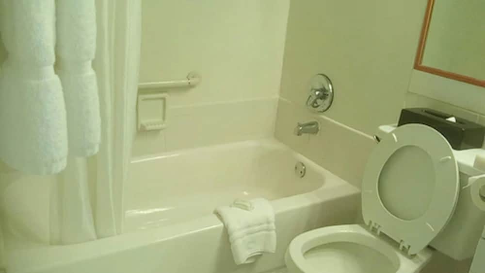 

Bologna - Nassau (Bahamas), Caraibi - Bay View Suites Paradise Island