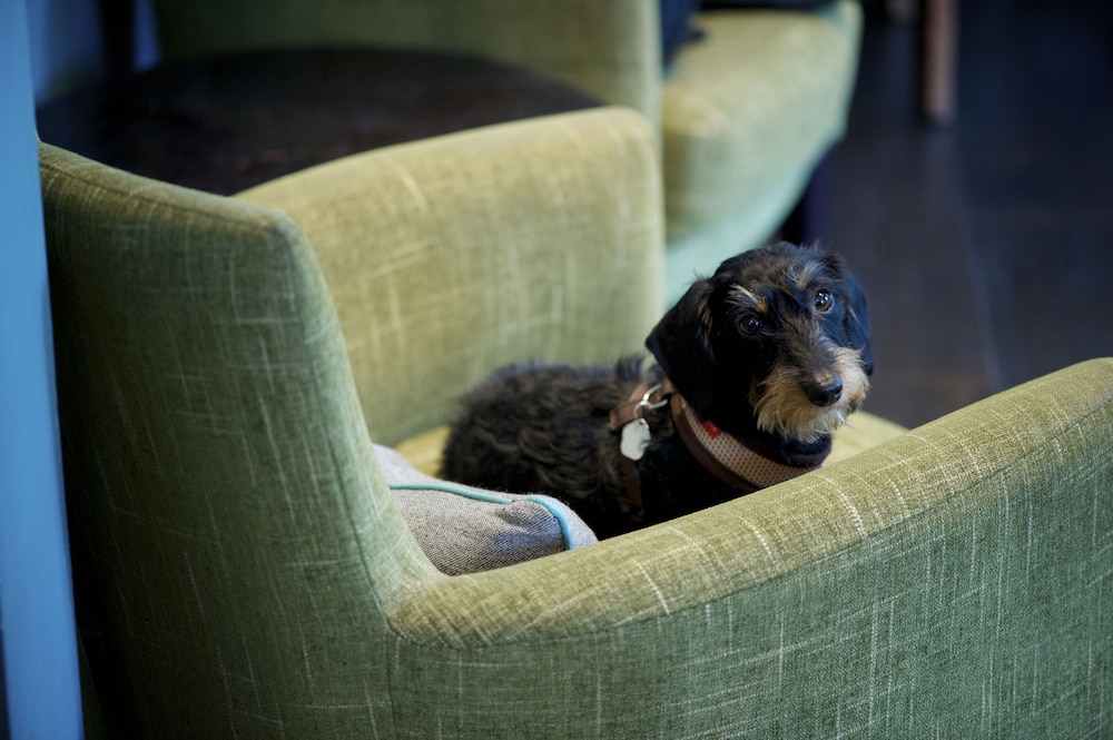 

Roma - Kingston Upon Thames - The Lodge Hotel - Putney