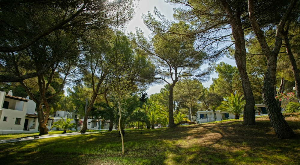 

Venezia - Pilar de la Mola - Insotel Club Maryland