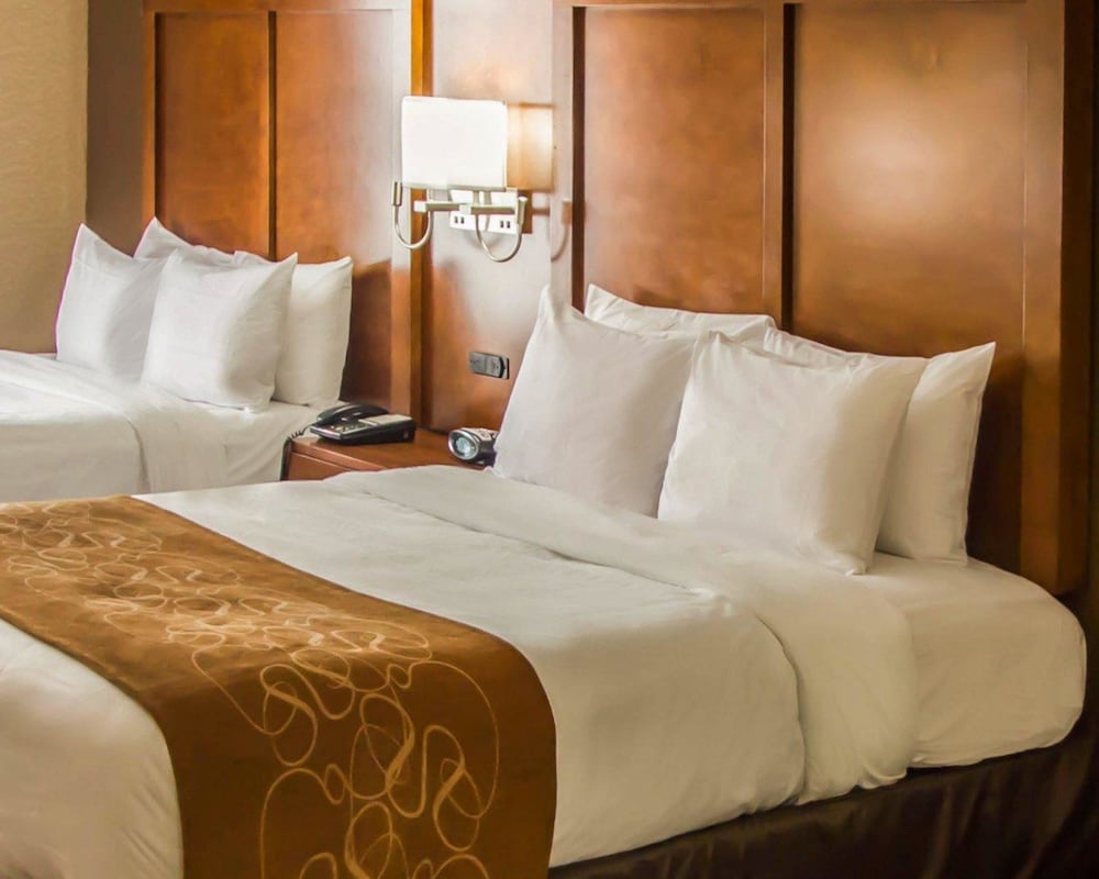 

Bari - Secaucus - Quality Suites NYC Gateway