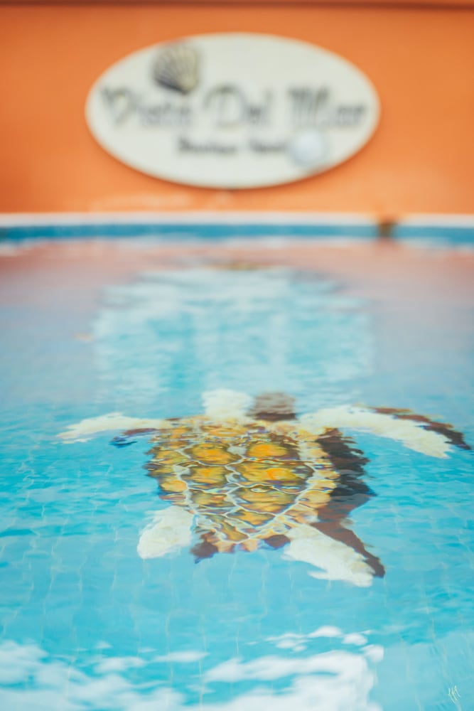

Firenze - Cozumel - Hotel Vista del Mar