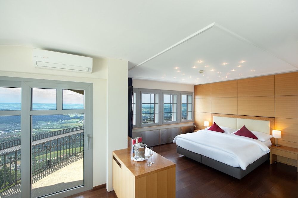 

Venezia - Zurigo - Hotel UTO KULM car-free hideaway in Zurich