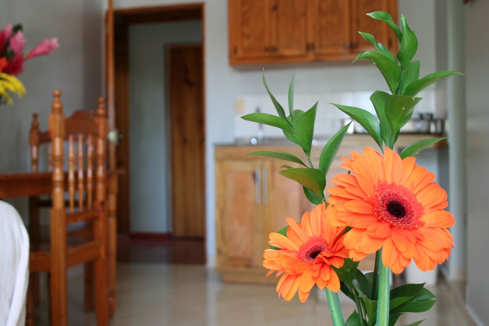 

Bari - Boca Chica - Hotel Zapata