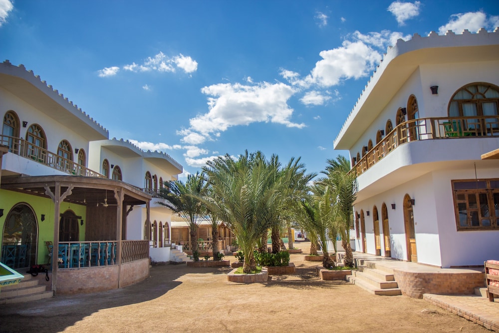 

Firenze - Dahab - Shams Hotel & Dive Centre