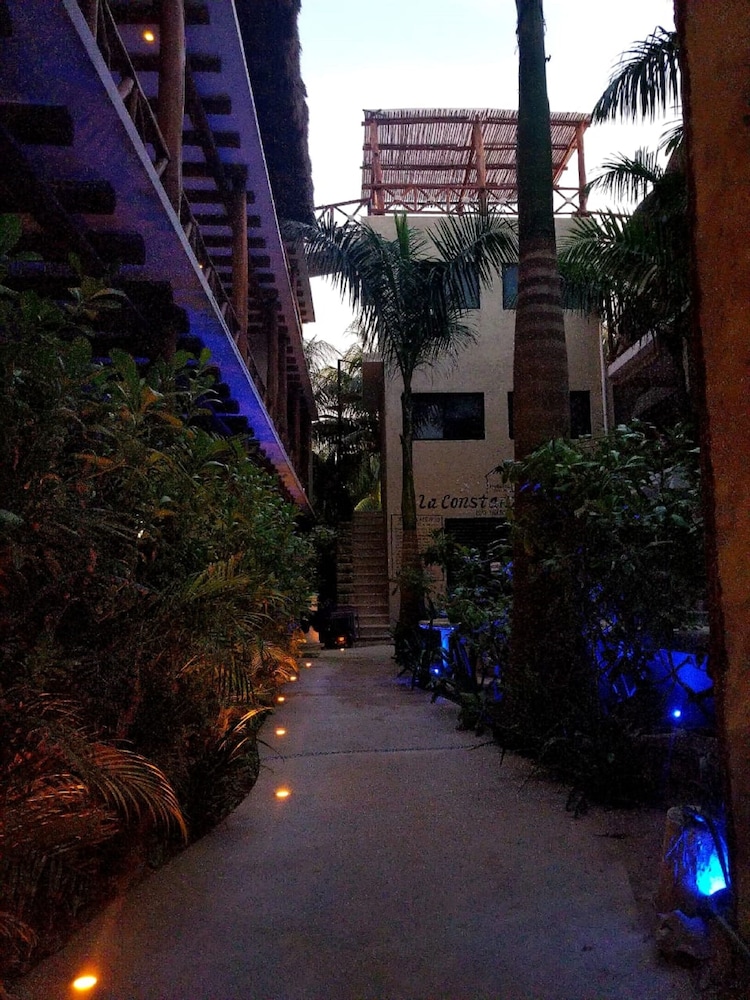 

Bari - Isla Holbox - La Constanza de Rulo