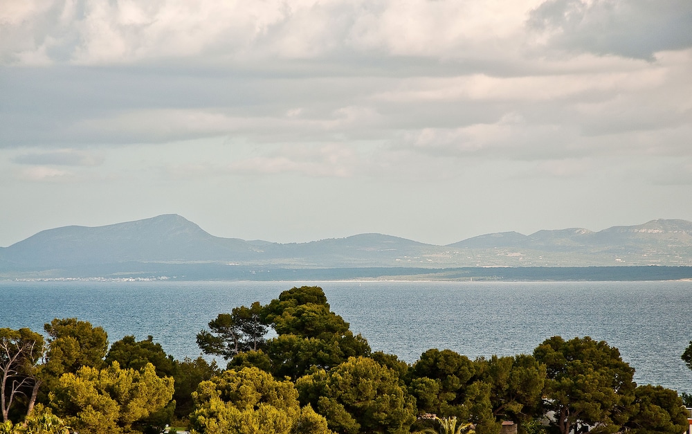 

Bologna - Puerto De Alcudia, Mallorca - BQ Delfín Azul Hotel