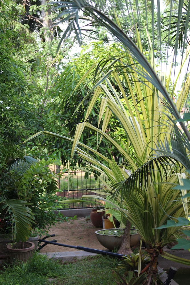 

Bologna - Negombo - Hotel Villa kapuru