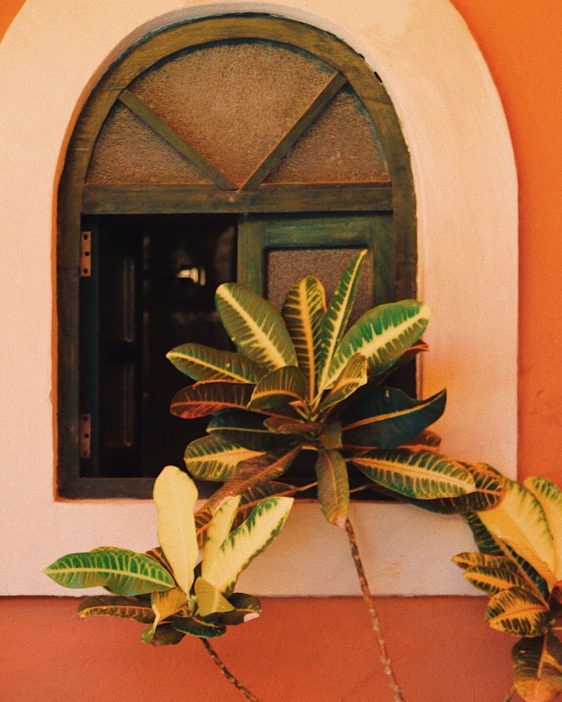 

Catania - Isla Mujeres - Hotel Belmar