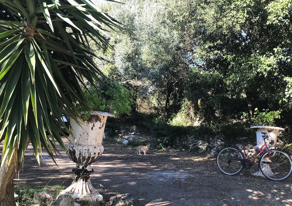 

Firenze - Bonifacio - Résidence hôtelière A TRAMA