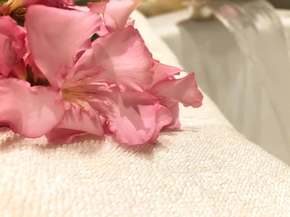 

Milano - Shkodër - Hotel Kompleksi Arifi