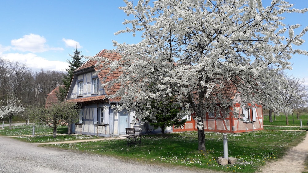 Kingersheim - Les Loges de l'Ecomusée D'Alsace