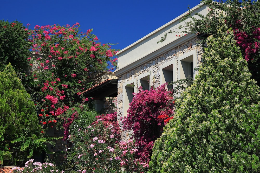 

Bologna - Torba - Zeytinada Hotel