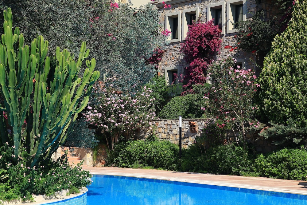 

Milano - Torba - Zeytinada Hotel