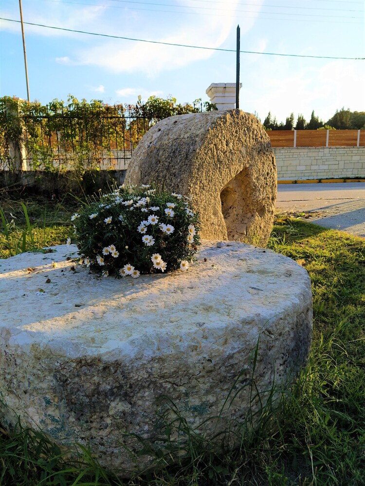 

Milano - Kavos - Ever Green