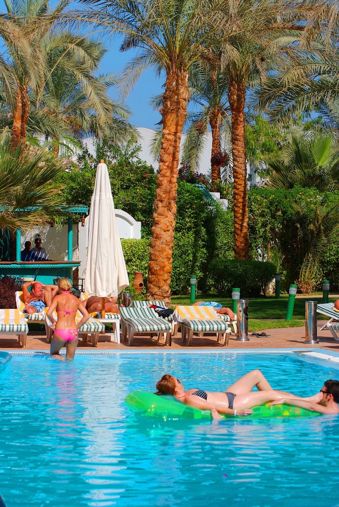 

Genova - Sharm El Sheikh - Falcon Hills Hotel