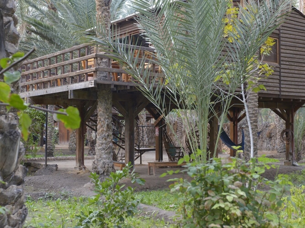 

Palermo - Tozeur - Hotel Diar Abou Habibi