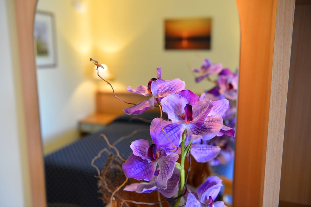 

Roma - Cisternino - Hotel Lo Smeraldo