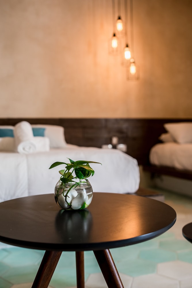 

Bari - Isla Holbox - Hotel Bohonito Holbox