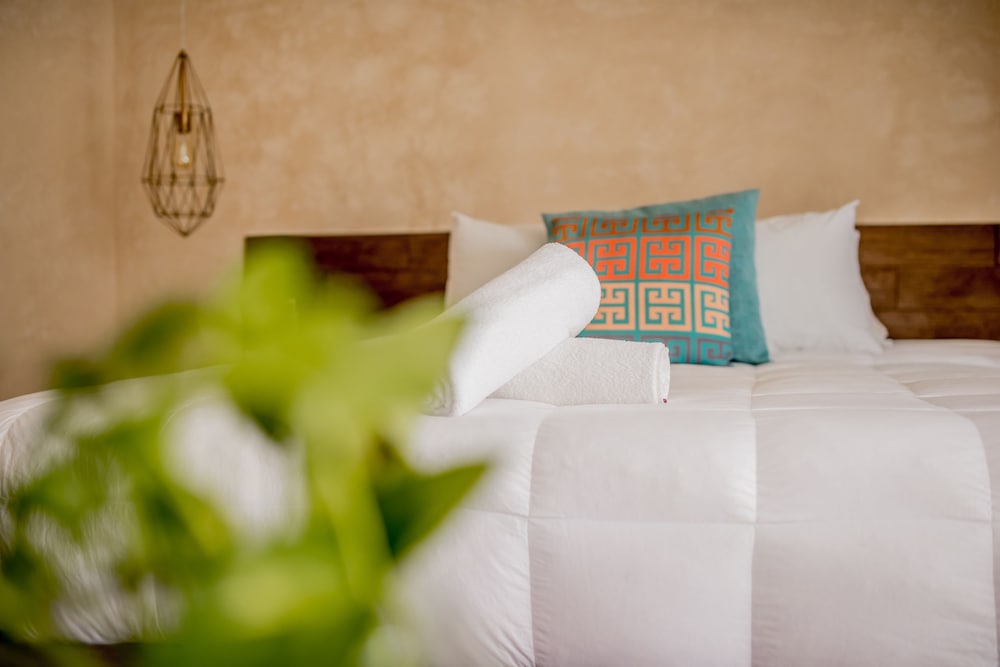

Roma - Isla Holbox - Hotel Bohonito Holbox