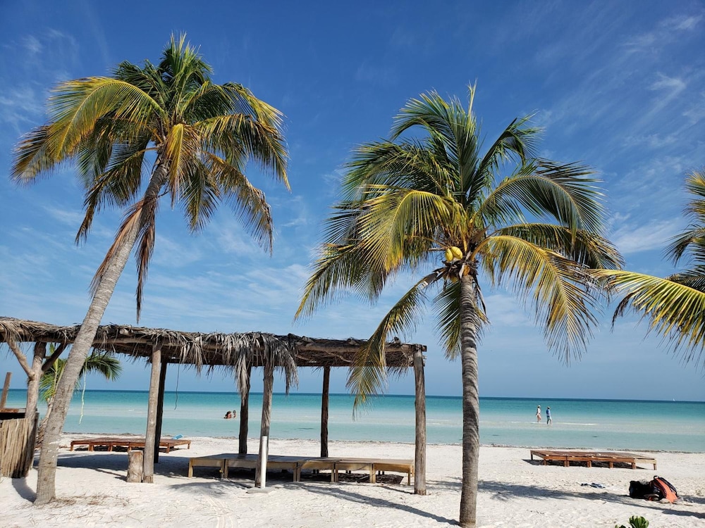 

Venezia - Isla Holbox - Hotel Bohonito Holbox