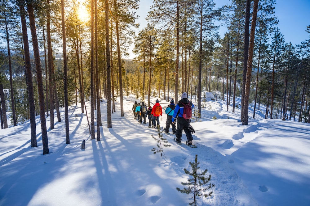 

Roma - Inari, Lapponia - Wilderness Hotel Inari & Igloos