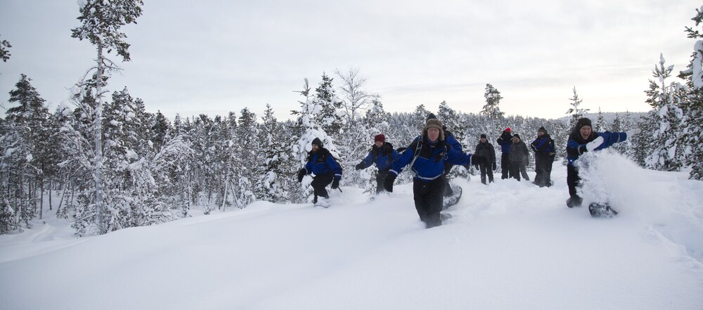 

Roma - Inari, Lapponia - Wilderness Hotel Inari & Igloos