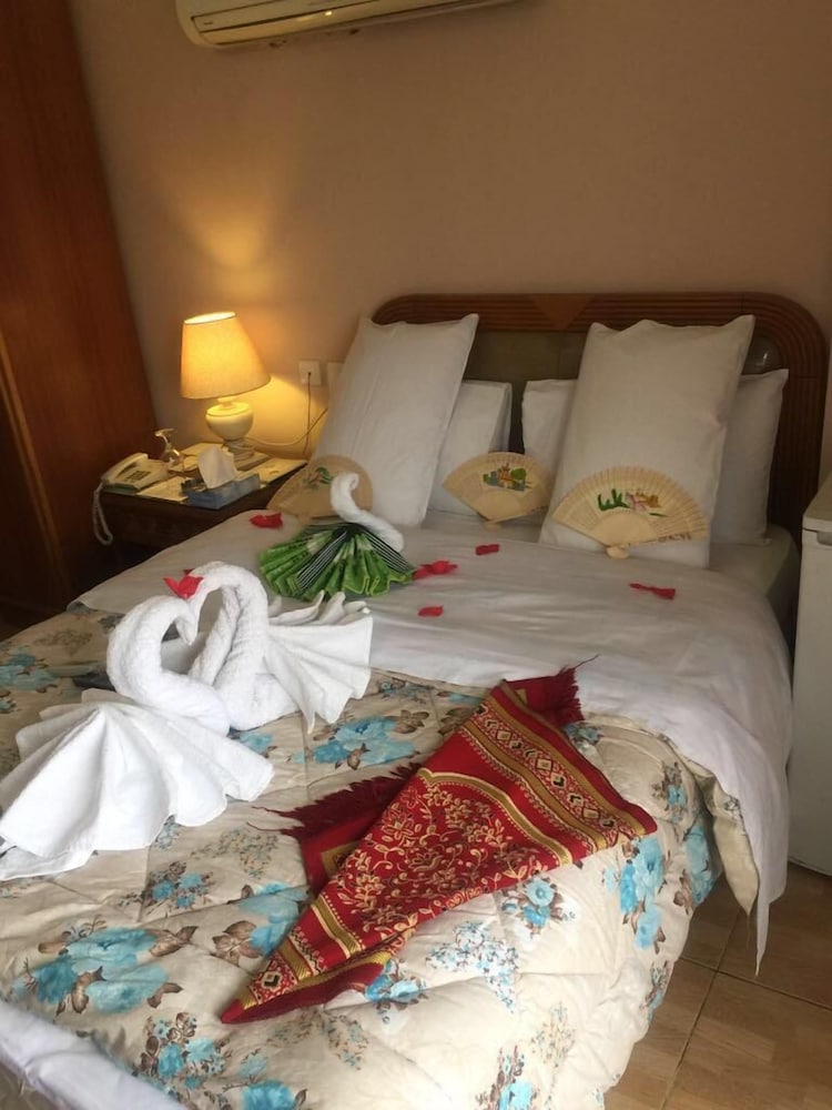 

Roma - Aqaba - Maswada Plaza Hotel